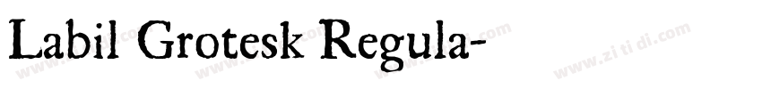 Labil Grotesk Regula字体转换